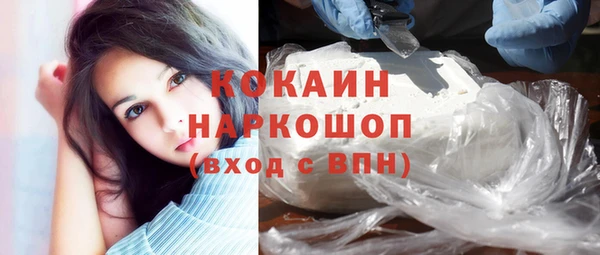 PSILOCYBIN Бородино
