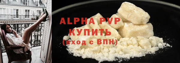 PSILOCYBIN Бородино
