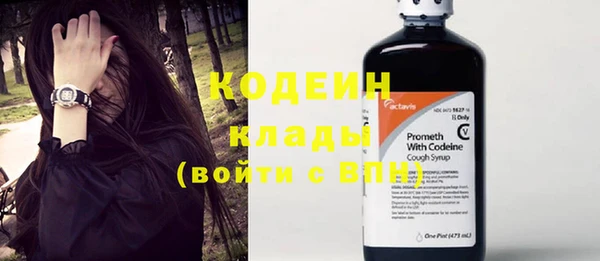 PSILOCYBIN Бородино