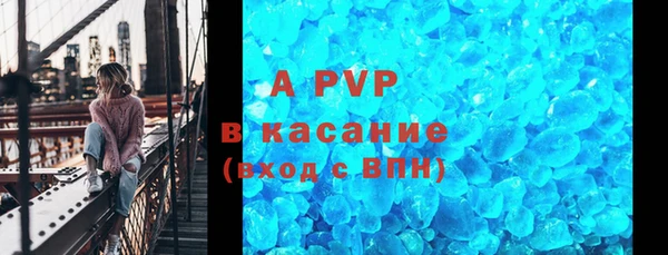 PSILOCYBIN Бородино
