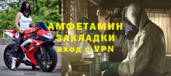 PSILOCYBIN Бородино